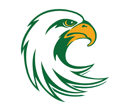 Jayhawks primary logo head - 2 color