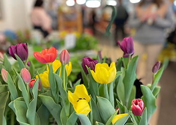 A group of potted tulips stands in the foreground of an image of people attending Earthfest in the Student Union.