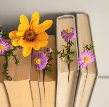 Five books stand vertically with spines facing left, adorned with vibrant yellow and purple flowers sprouting from between the pages, evoking a sense of whimsy and nature.