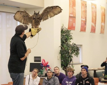 A large owl with wings spread wide is perched on a gloved hand held by a presenter, with a group of young adults watching in the background.