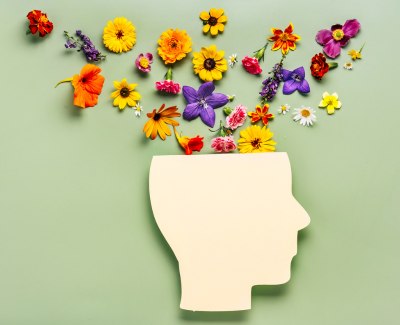 Silhouette of a human head with colorful flowers emerging from the top on a green background, symbolizing creativity and positive thoughts.