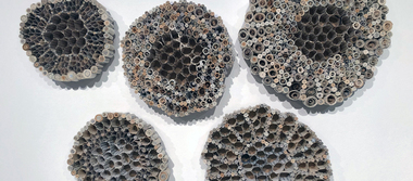Rolled paper combines to form circular shapes in an artist's sculpture.