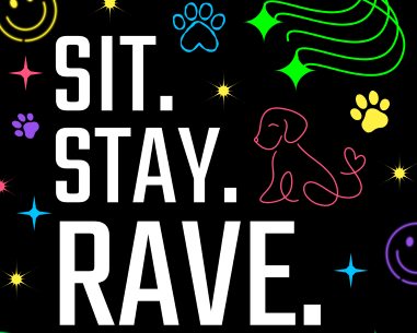 Black background with the words "SIT. STAY. RAVE." in large white lettering. Colorful, stylized dog paw prints, smiley faces, and abstract starbursts are scattered around the text. A thin pink line drawing of a dog with a heart tail sits to the right of the word "RAVE."