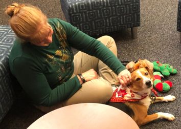 A person sitting on the floor petting a dog.