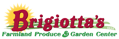 Brigiotta's logo
