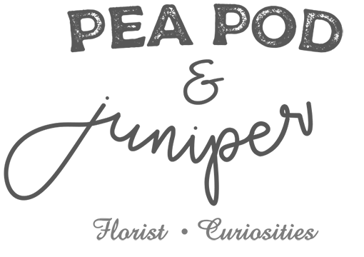 Pea Pod & Juniper logo