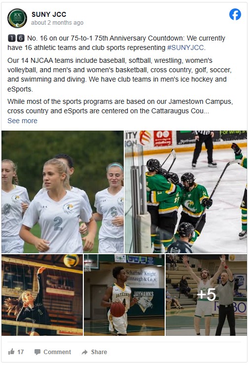 Collage of SUNY JCC athletes: women's soccer players in white jerseys, ice hockey players in green uniforms, volleyball player spiking, basketball player dribbling, and two people celebrating in a gym. Text above highlights 16 athletic teams representing SUNY JCC, including baseball, basketball, volleyball, and more.