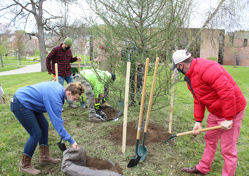 Two people shovel dirty into a tree plot.