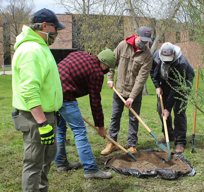 Four people plant a tree using shovels.