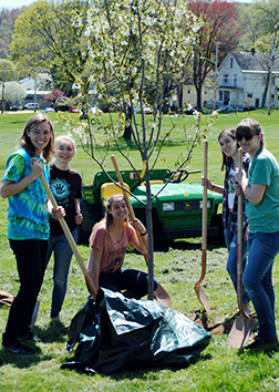 Students holding shovels surround a tree they are planting on the SUNY JCC campus.
