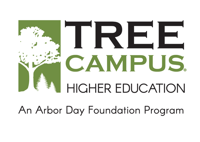 A green and black logo from the Arbor Day Foundation that says Tree Campus Higher Education An Arbor Day Foundation Program