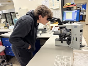 A young man looks into a microscope in a hospital.