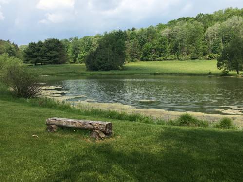 fishing pond