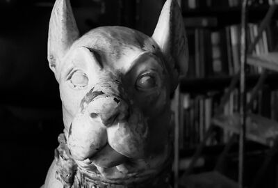 A sculpture of a dog in a darkened room.