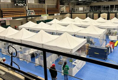 White medical tents set up on blue colored floor in a physical education complex.