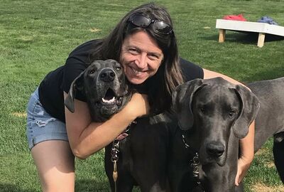 A person smiles while hugging two large gray Great Danes in a grassy yard.